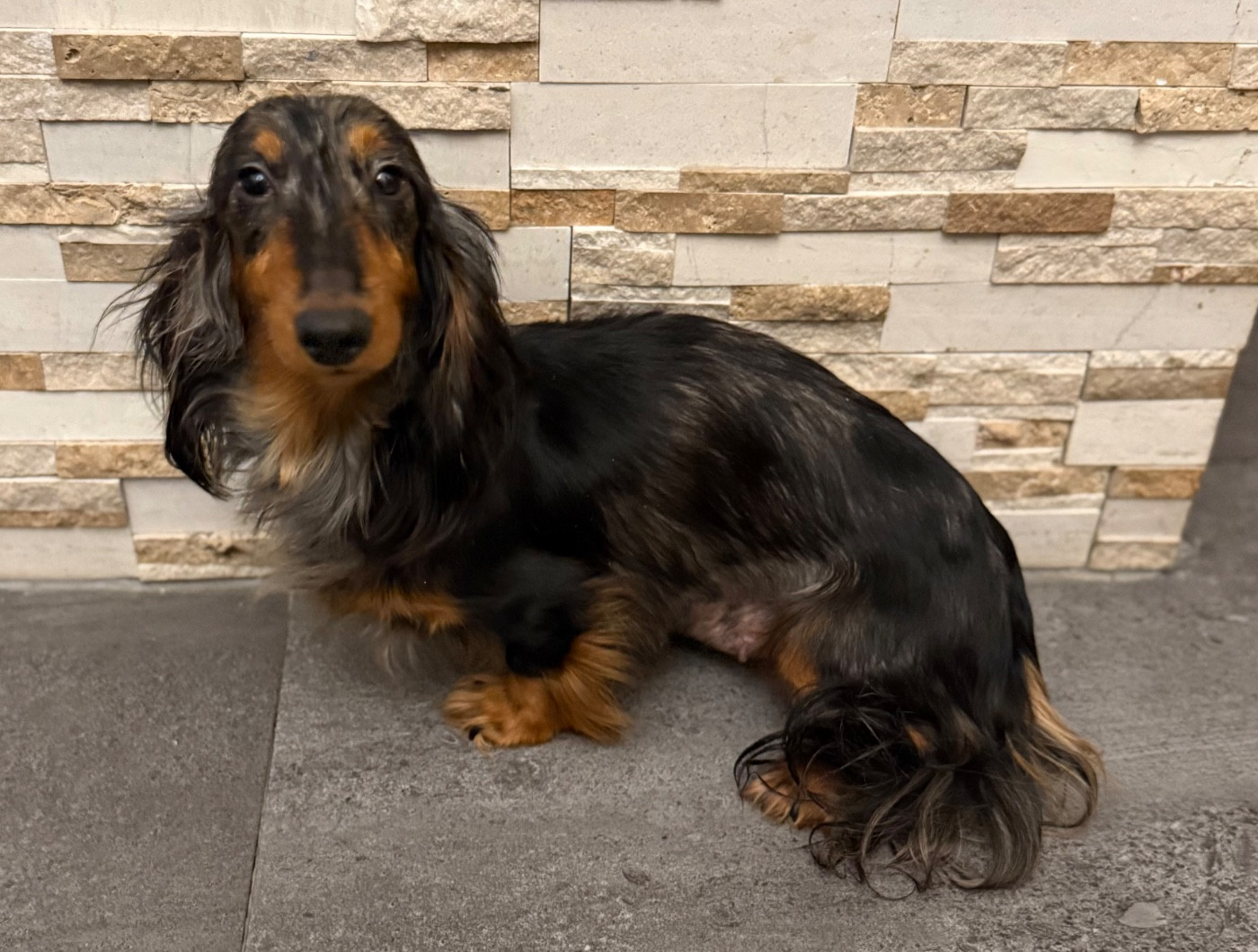 Vanille les mère veilles de naia (Sans Affixe)